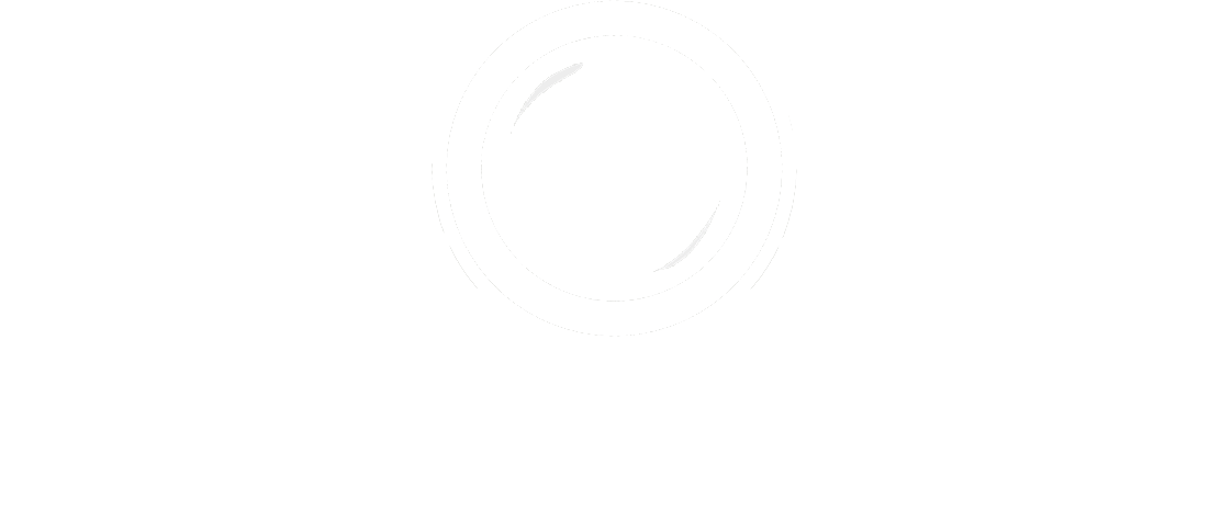logo droneez
